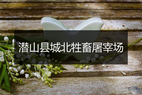 潜山县城北牲畜屠宰场