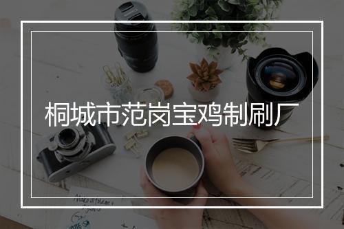 桐城市范岗宝鸡制刷厂