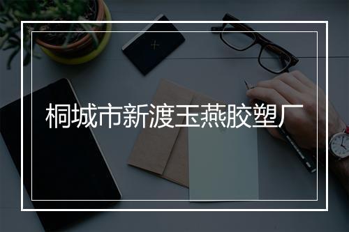 桐城市新渡玉燕胶塑厂