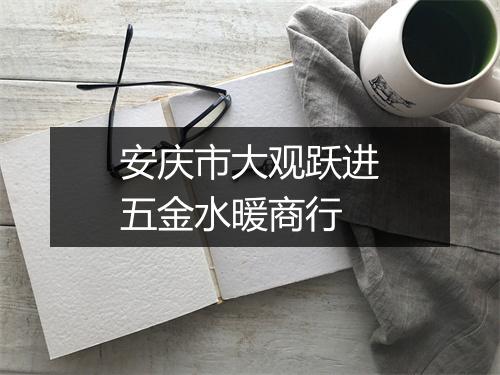 安庆市大观跃进五金水暖商行