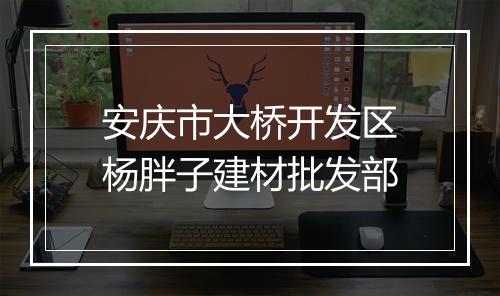 安庆市大桥开发区杨胖子建材批发部