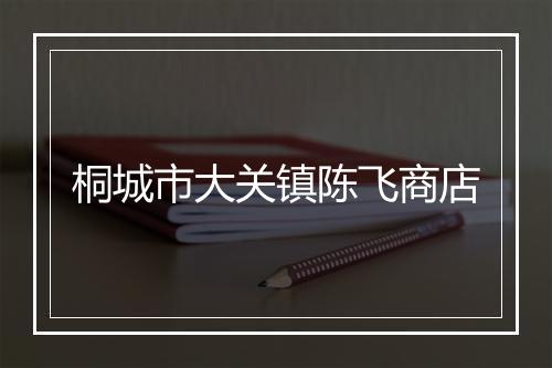 桐城市大关镇陈飞商店