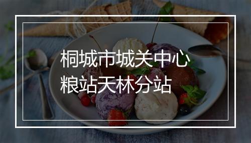 桐城市城关中心粮站天林分站
