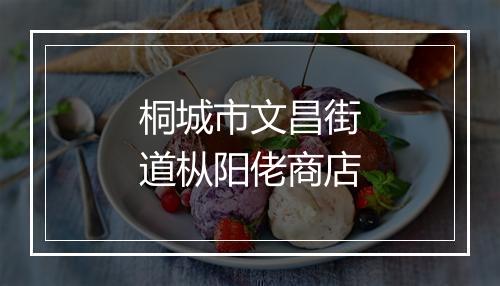 桐城市文昌街道枞阳佬商店