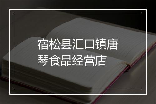 宿松县汇口镇唐琴食品经营店