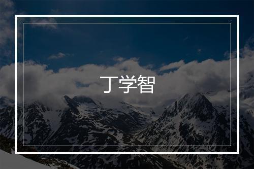 丁学智