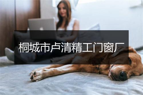 桐城市卢清精工门窗厂