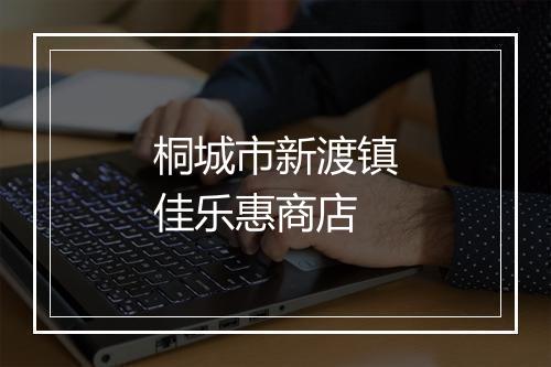 桐城市新渡镇佳乐惠商店