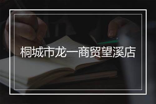 桐城市龙一商贸望溪店