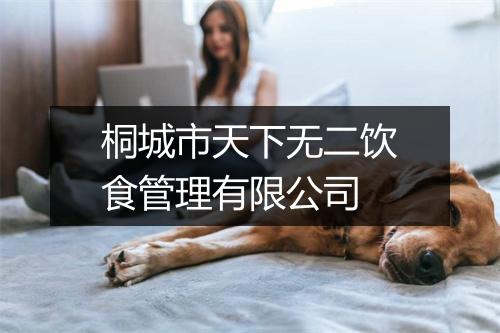 桐城市天下无二饮食管理有限公司