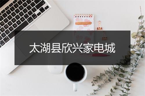 太湖县欣兴家电城