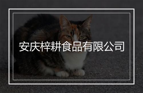 安庆梓耕食品有限公司