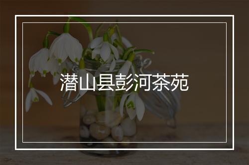 潜山县彭河茶苑