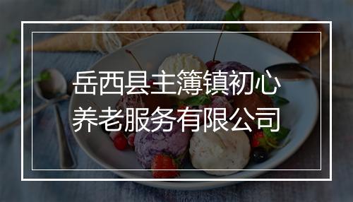 岳西县主簿镇初心养老服务有限公司
