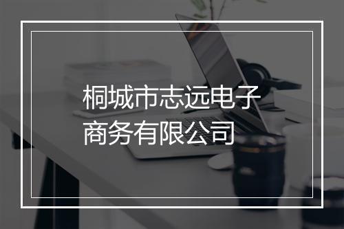 桐城市志远电子商务有限公司