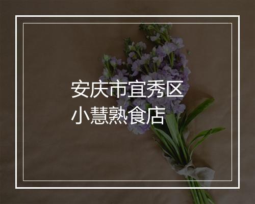 安庆市宜秀区小慧熟食店