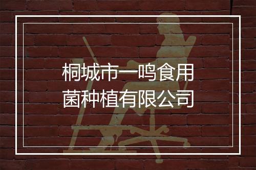 桐城市一鸣食用菌种植有限公司