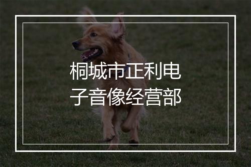 桐城市正利电子音像经营部
