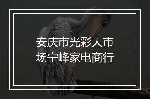 安庆市光彩大市场宁峰家电商行