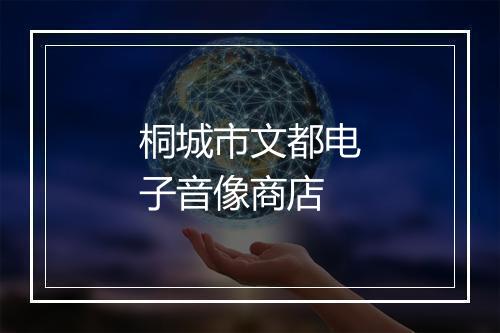 桐城市文都电子音像商店