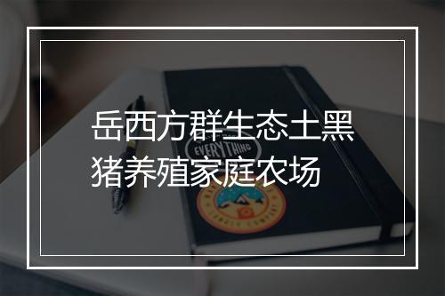 岳西方群生态土黑猪养殖家庭农场