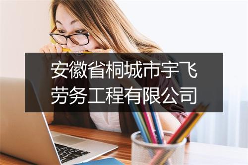 安徽省桐城市宇飞劳务工程有限公司