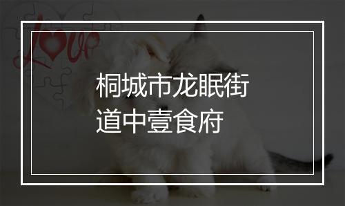 桐城市龙眠街道中壹食府