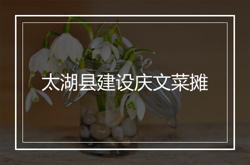 太湖县建设庆文菜摊