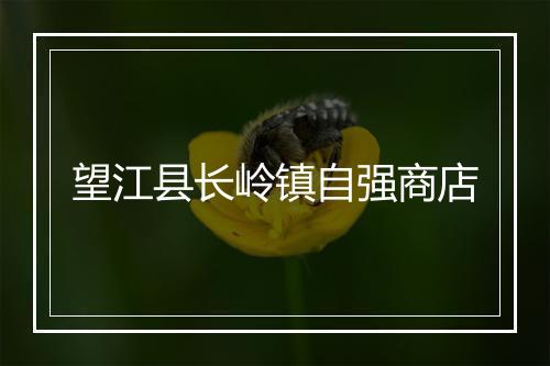 望江县长岭镇自强商店