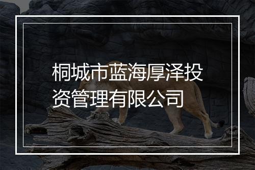 桐城市蓝海厚泽投资管理有限公司