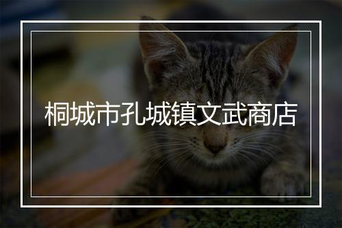 桐城市孔城镇文武商店
