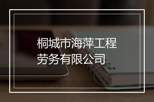 桐城市海萍工程劳务有限公司