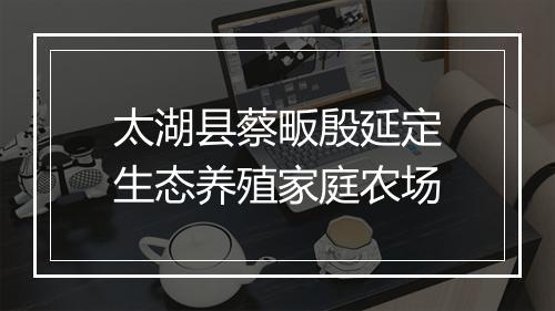 太湖县蔡畈殷延定生态养殖家庭农场