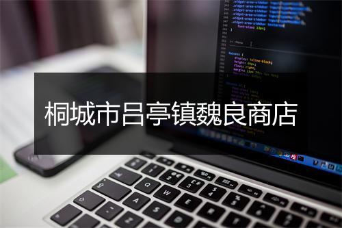 桐城市吕亭镇魏良商店