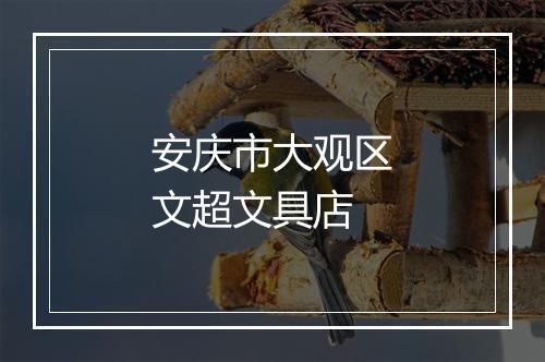 安庆市大观区文超文具店