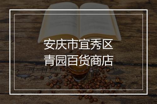 安庆市宜秀区青园百货商店