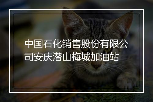 中国石化销售股份有限公司安庆潜山梅城加油站