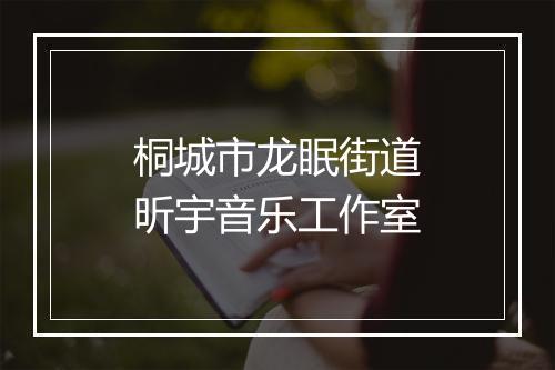 桐城市龙眠街道昕宇音乐工作室