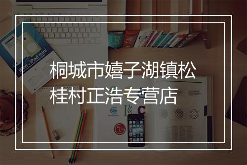 桐城市嬉子湖镇松桂村正浩专营店