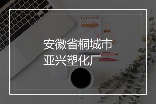 安徽省桐城市亚兴塑化厂