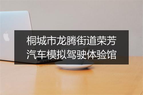 桐城市龙腾街道荣芳汽车模拟驾驶体验馆