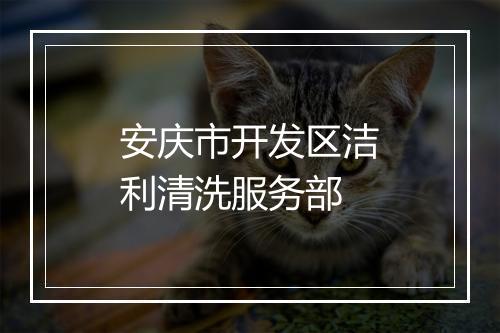 安庆市开发区洁利清洗服务部
