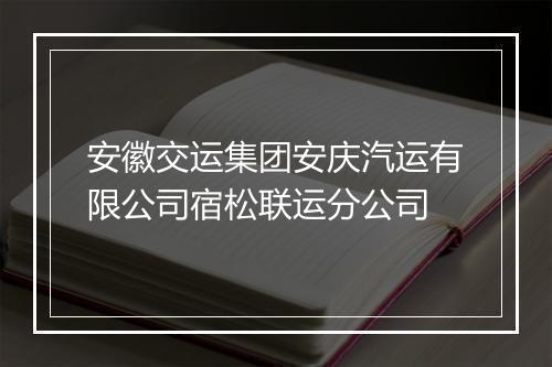 安徽交运集团安庆汽运有限公司宿松联运分公司