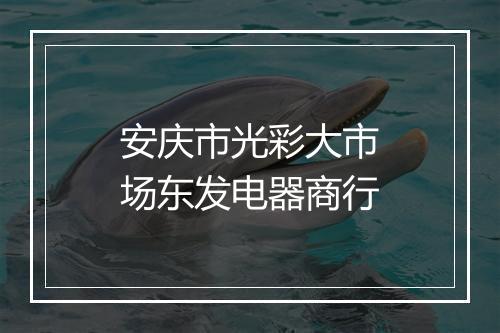 安庆市光彩大市场东发电器商行