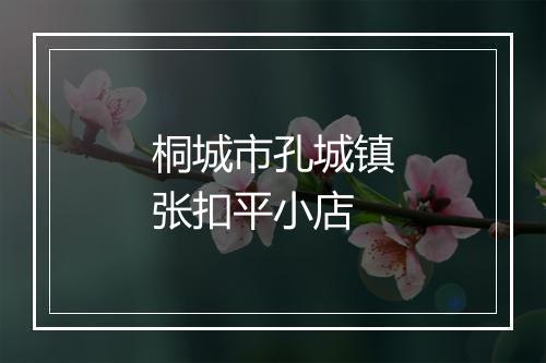 桐城市孔城镇张扣平小店