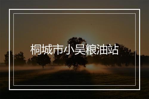 桐城市小吴粮油站