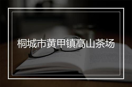 桐城市黄甲镇高山茶场
