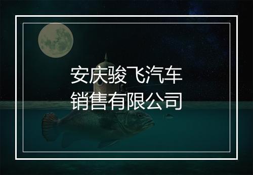 安庆骏飞汽车销售有限公司