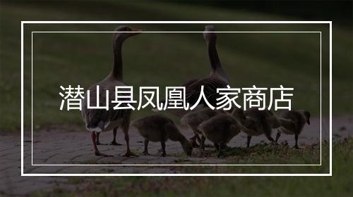 潜山县凤凰人家商店