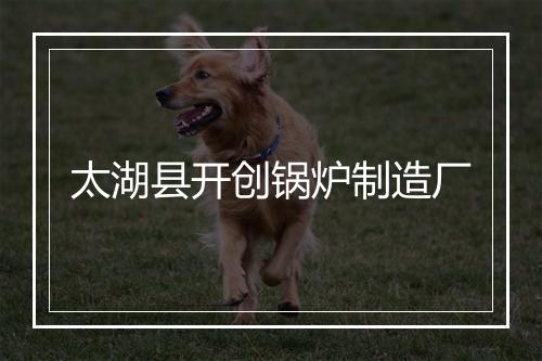 太湖县开创锅炉制造厂